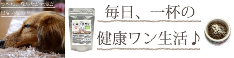 ���ʑz�����T�C�g